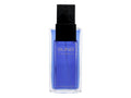 Alfred Sung Homme 100 ml - 100ml - Toaletní voda