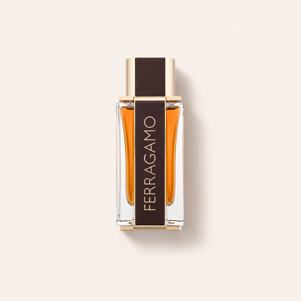 Ferragamo Ferragamo Spicy Leather 100 ml – parfém – MrRizz