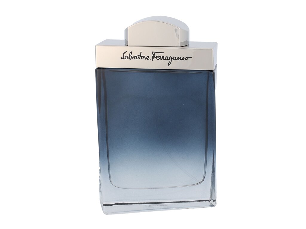 Ferragamo Subtil Pour Homme 100 ml - 100ml - Toaletní voda