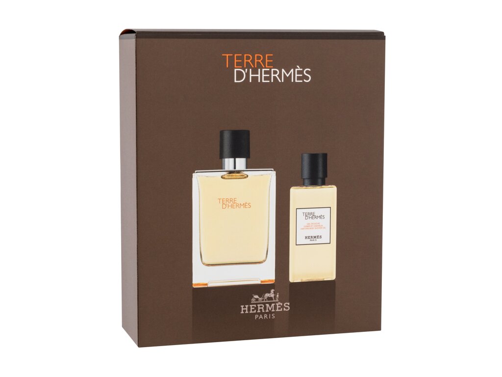 Hermes Terre d’Hermes 100 ml - 100ml - Toaletní voda