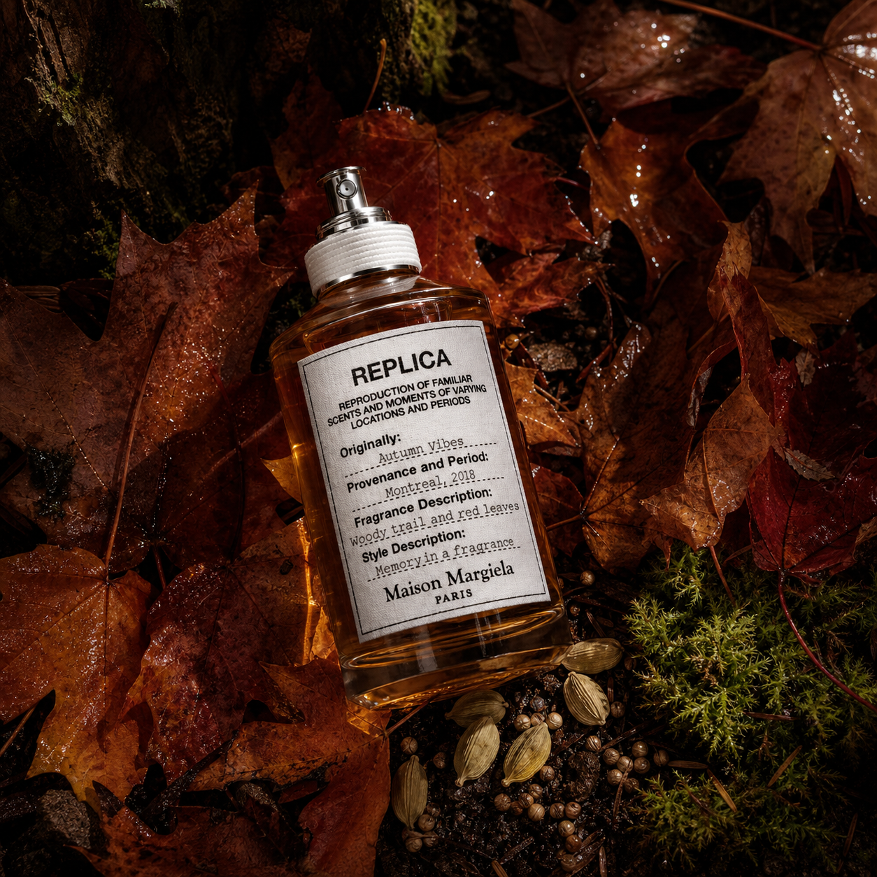 Maison Margiela REPLICA Autumn Vibes v emocionální scéně mokrého podzimního lesa – MrRizz