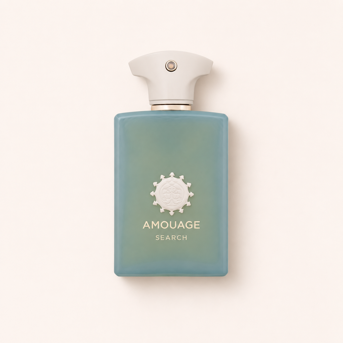 Amouage Search 100 ml – MrRizz