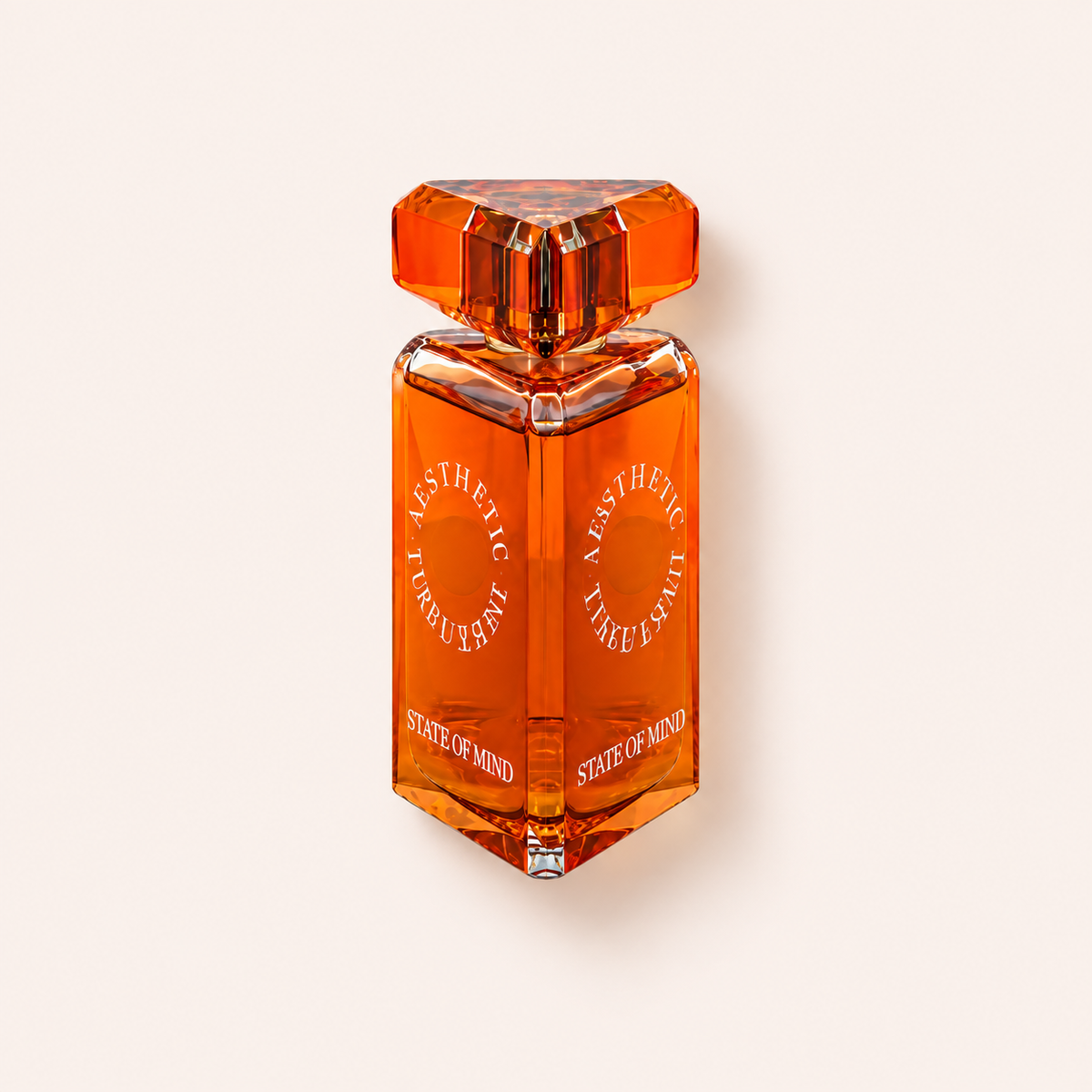 State Of Mind Aesthetic Turbulence 100 ml – MrRizz