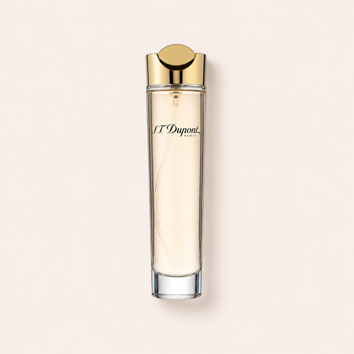 S.T. Dupont Pour Femme 100 ml – MrRizz