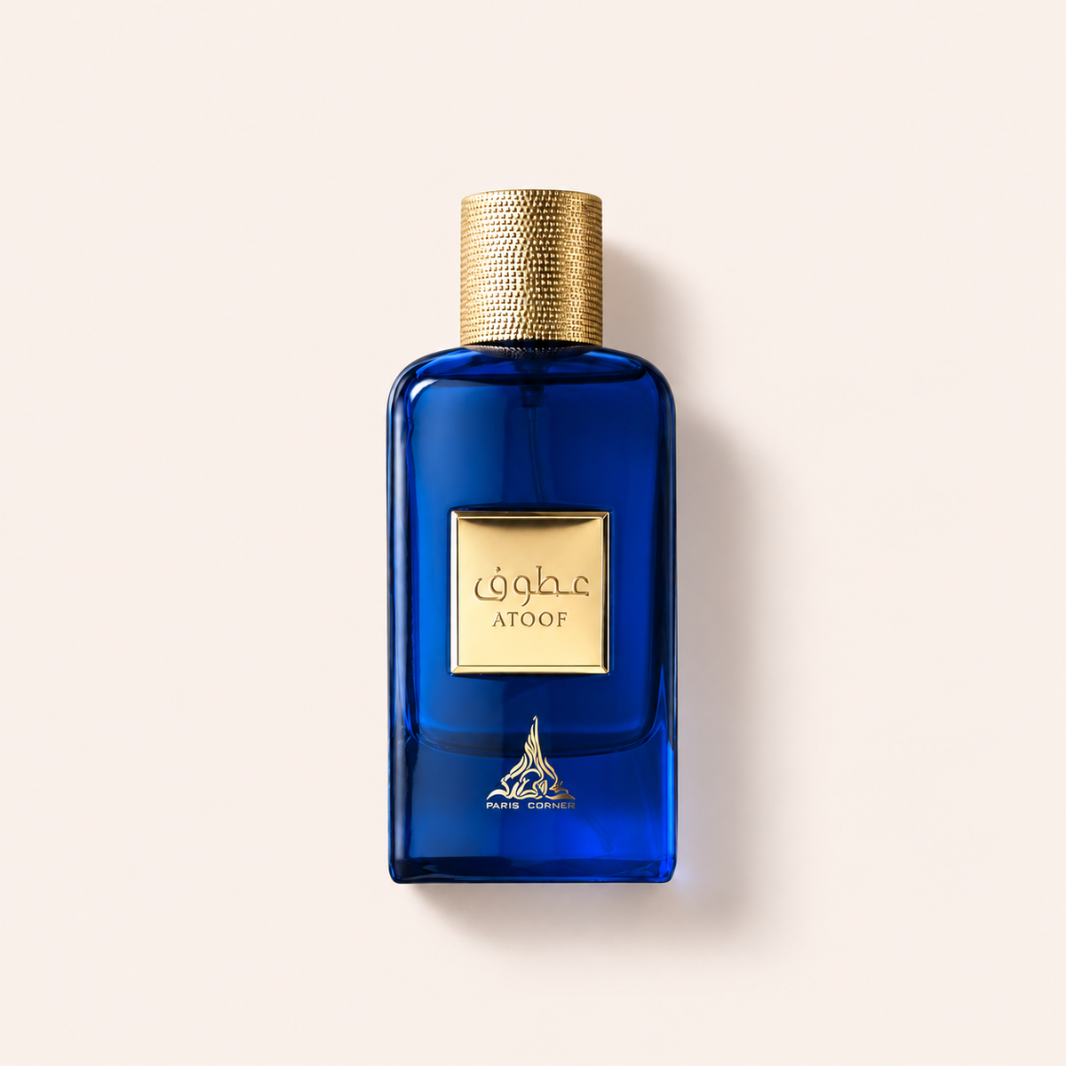 Paris Corner Atoof 100 ml – parfémovaná voda – MrRizz