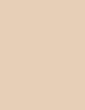 Revlon Colorstay Normal Dry Skin 30 ml - 30ml - Makeup