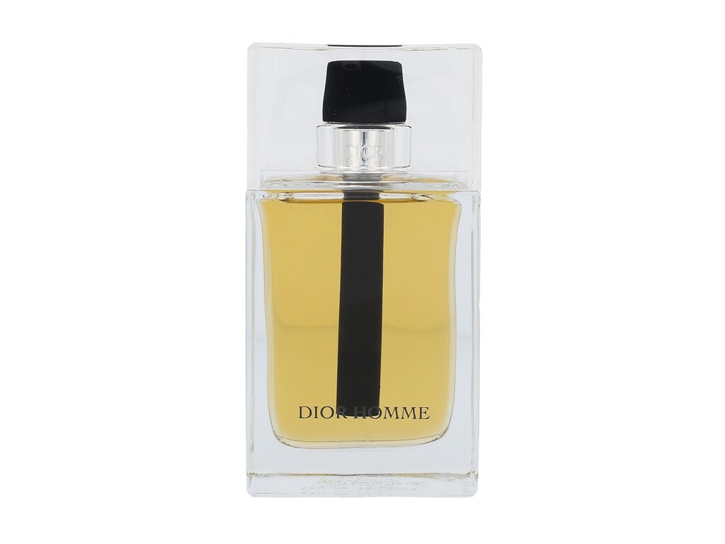 Dior Dior Homme 2011 100 ml