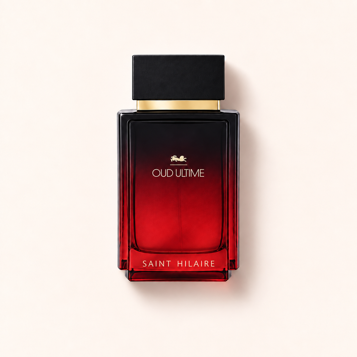 Saint Hilaire Oud Ultime EDP 100 ml – MrRizz