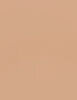 Shiseido Synchro Skin Self-Refreshing Custom Finish Powder Foundation 9 ml - 9ml - Makeup