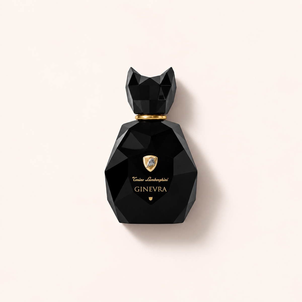 Lamborghini Ginerva Black 100 ml – MrRizz