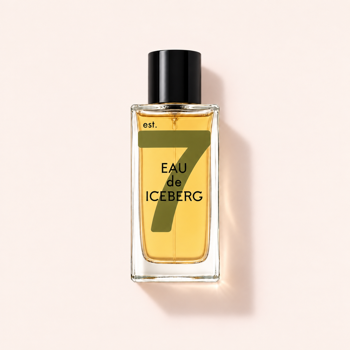 Iceberg Eau de Iceberg Amber toaletní voda 100 ml – MrRizz