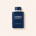Ferragamo Uomo Urban Feel 100 ml – MrRizz