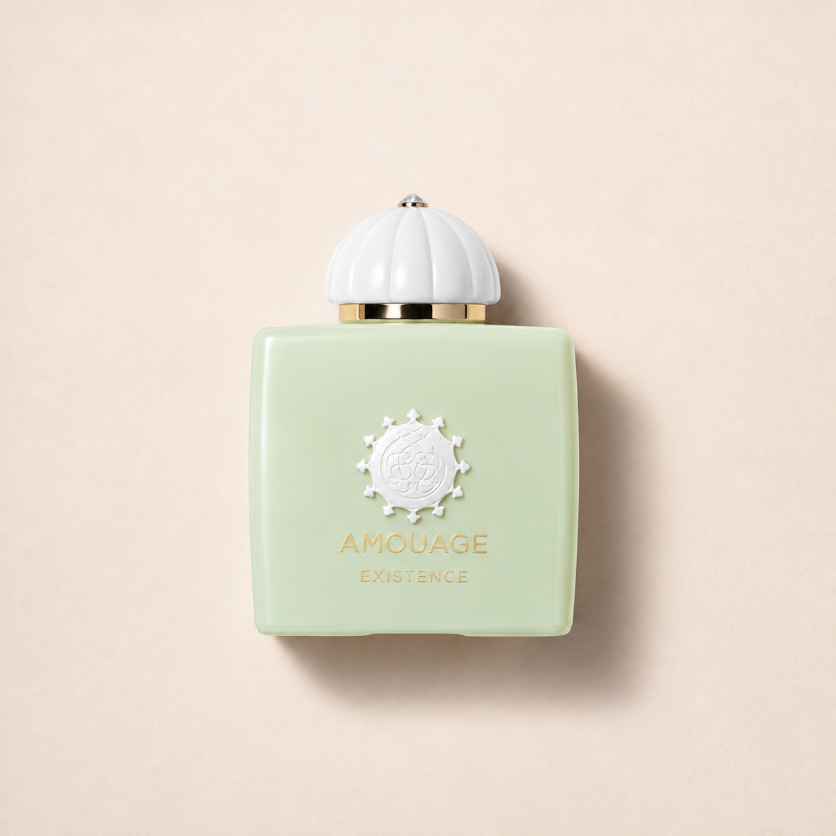 Produktová fotografie Amouage Existence EDP 100 ml – MrRizz