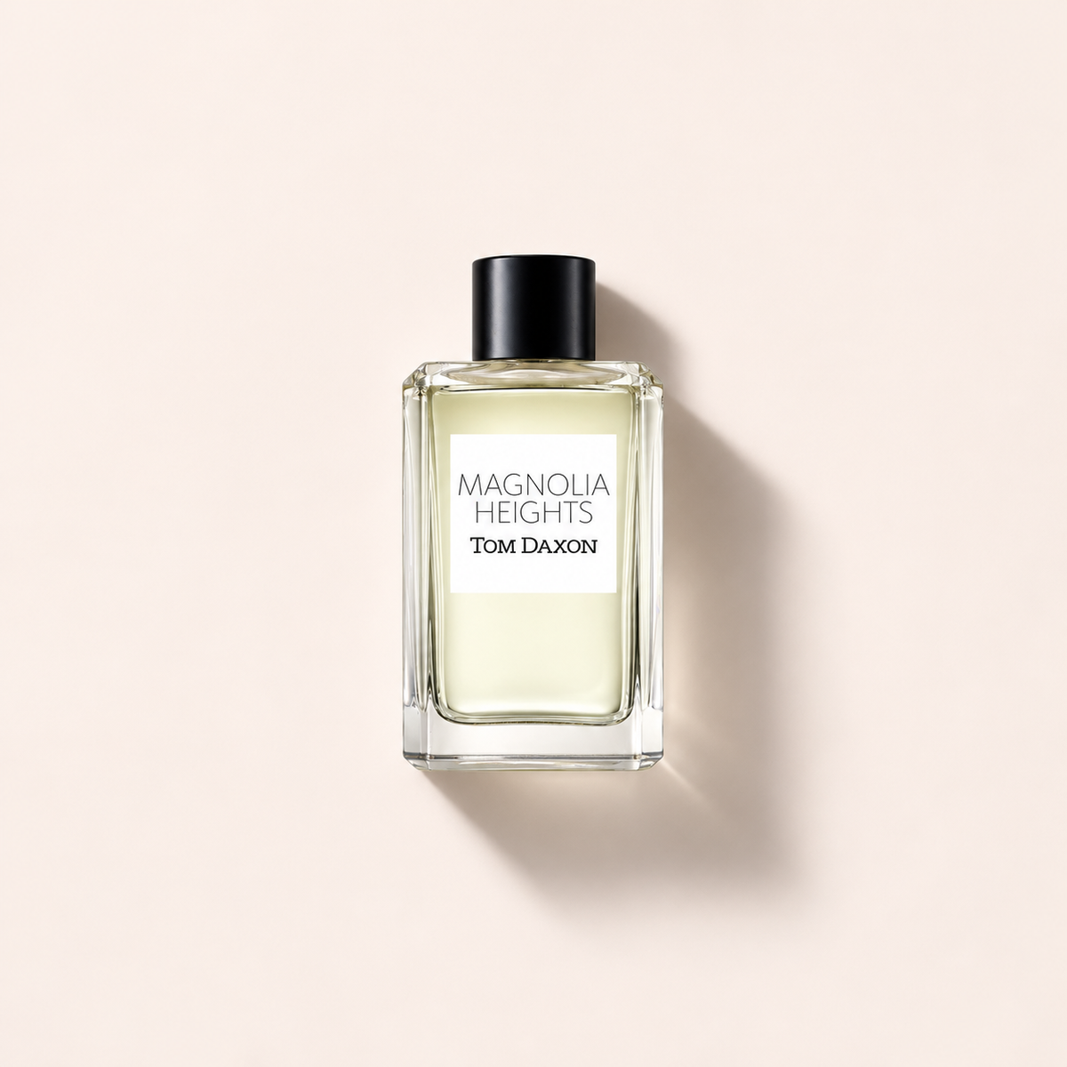 Tom Daxon Magnolia Heights 100 ml – MrRizz