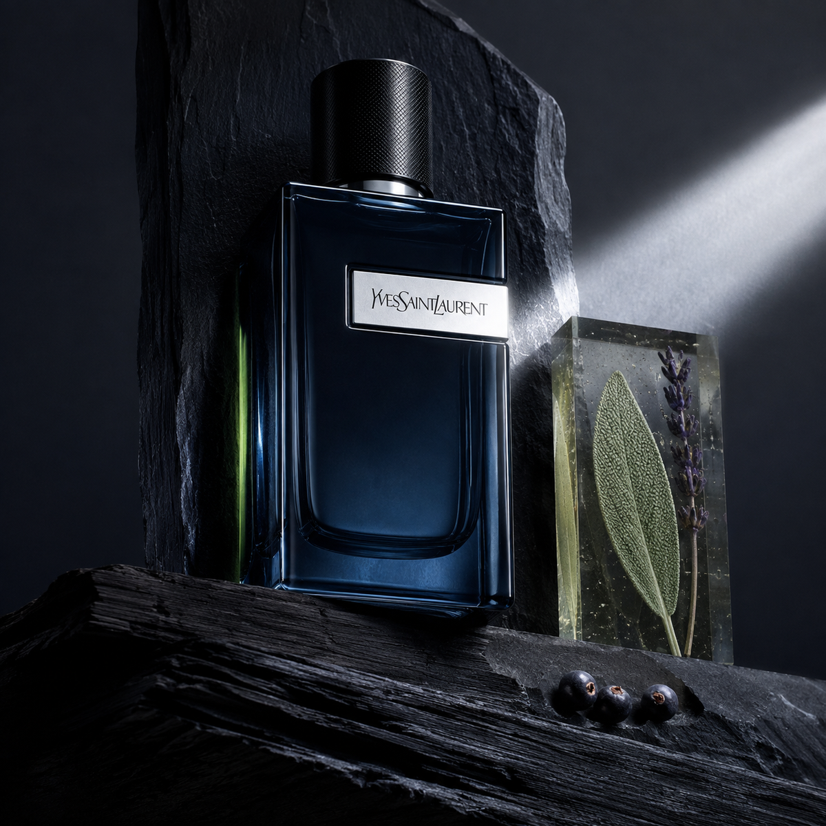 YSL Y Eau de Parfum Intense – emocionální fotografie v noční aromatické scéně – MrRizz